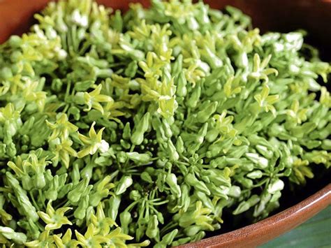 sabidukong plant|‘Pinakbet’ the genuine Ilocano way–the secret is good .